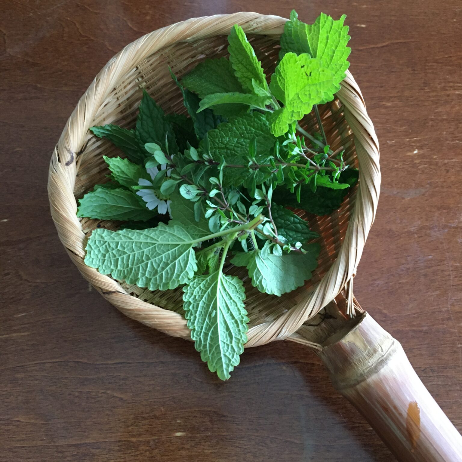 新緑の季節は簡単にできるフレッシュハーブティーがおすすめ【フレッシュハーブティーの淹れ方】